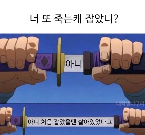 진짜... 아... 긴 글 쓸 기운도 이젠 없다... 그냥 나는 사신이다...