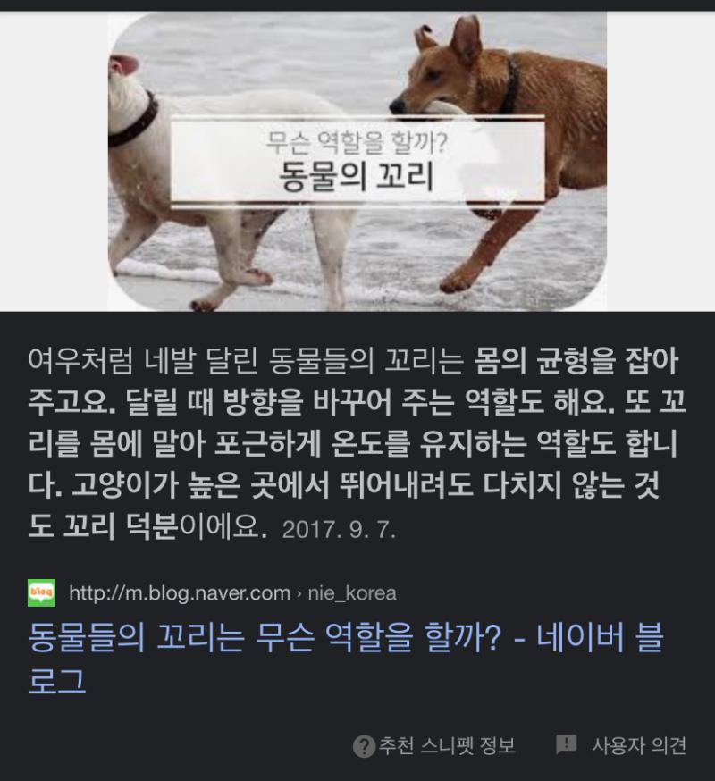 >>9 이런 이유들 때문인 거 같아!
