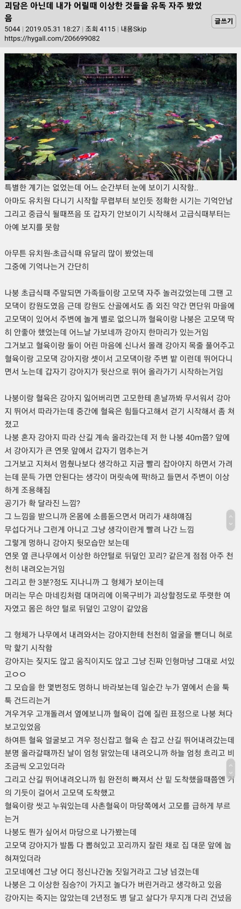 두번째 짤은 정황상 범일 거 같지않아?..범이랑 외형이 너무 비슷함