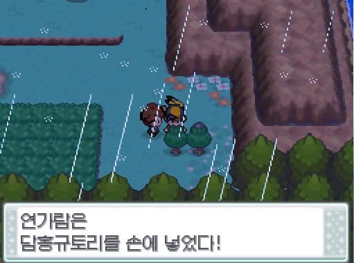 연가람은 33번 도로에서 담홍 규토리와 검은 규토리를 손에 넣었다!