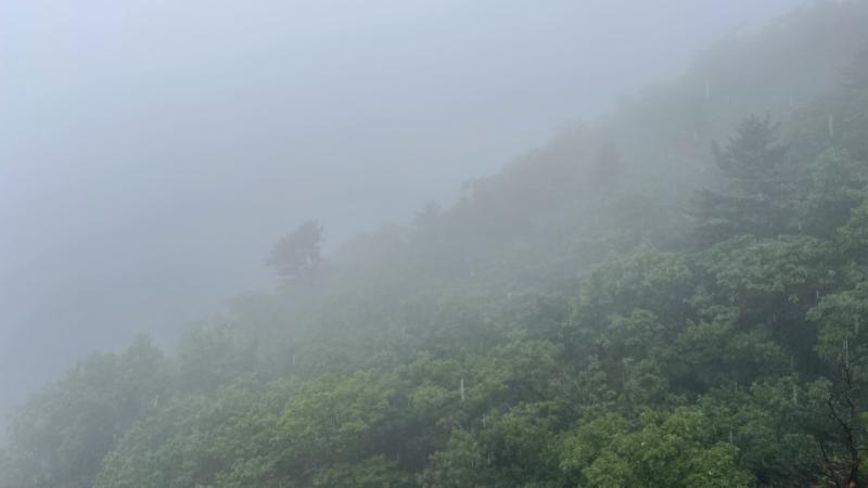 생각보다 아무것도 아닌데 좆같아 원래 사람이 다 그런거래요 엄마가