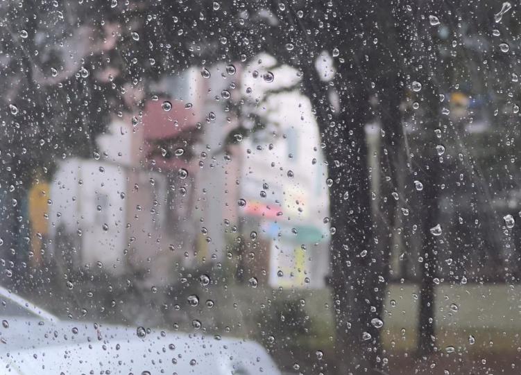 날씨 미쳤군 저 멀리 찰싹 하고 튀어오르는 게 빗방울임 너무 세게 내려서 우박인가? 싶었고 우박이 아니지만 갑작스레 내린거라 더 충격이었어