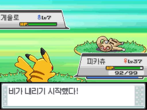 33번 도로에서 포켓몬과 만날 수 있는 횟수: 최대 3회/현재 3회 33번 도로에서 트레이너와 배틀할 수 있는 횟수: 최대 2회(사실 1회)/현