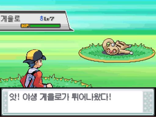 33번 도로에서 포켓몬과 만날 수 있는 횟수: 최대 3회/현재 3회 33번 도로에서 트레이너와 배틀할 수 있는 횟수: 최대 2회(사실 1회)/현