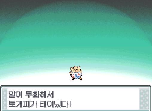 연가람은 고동마을을 구경하다가 프렌들리숍 안으로 들어갔다. 어라...? 알이 부화해서 토게피가 태어났다! 연가람은 토게피에게 >>707라는 이름