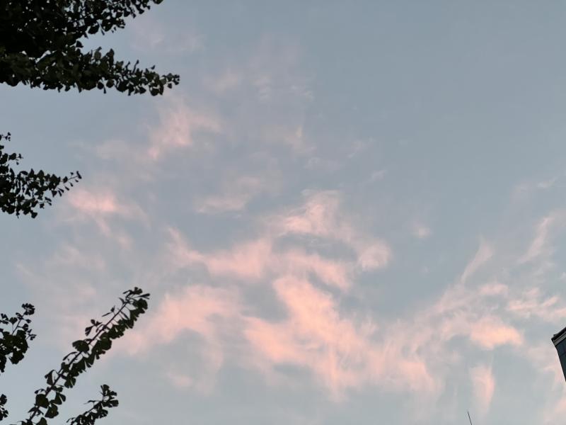 칭찬 들었다...ㅎㅎ 이 계절 이 시간대의 노을을 좋아해 시험 끝나면 죙일 노을만 바라보고 있을까