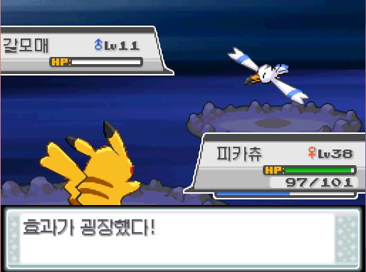 피카츄의 10만볼트! 효과가 굉장했다! 상대 갈모매는 쓰러졌다!