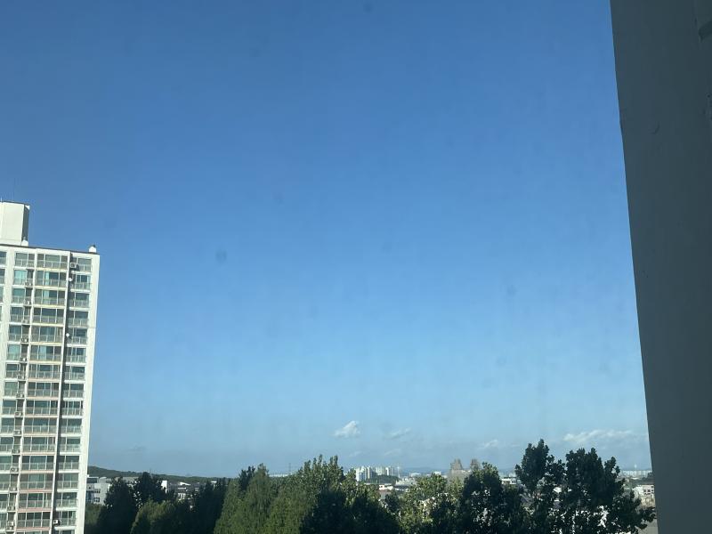 경기돈데 말 안 하면 태풍 온 줄 모를 듯 날씨 개조음 사진 지금 찍은 거