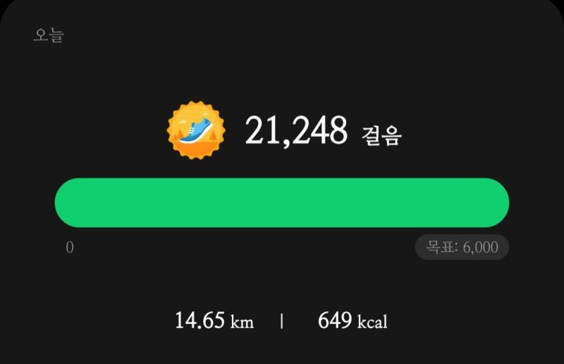 착잡해서 산책했더니 2만보를 걸어버린 건에 대하여