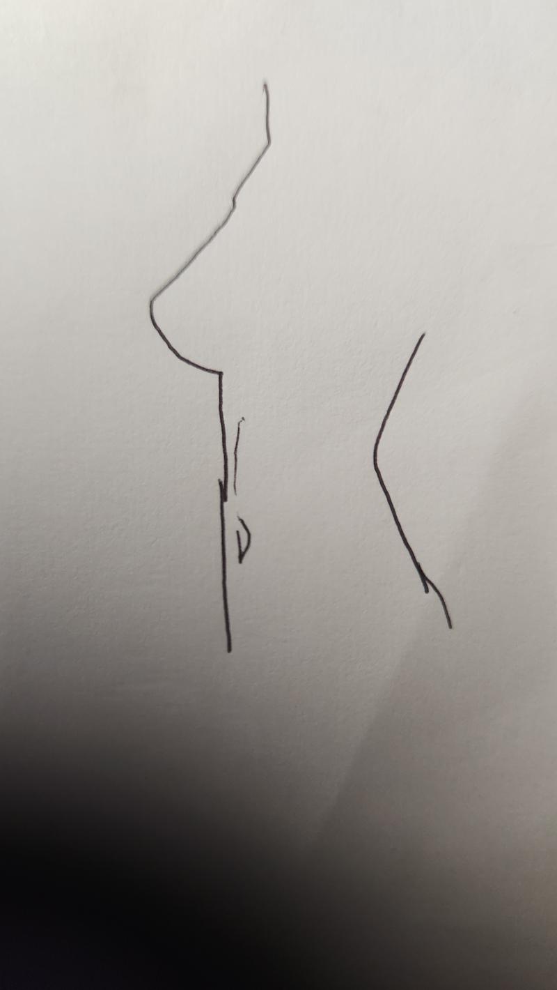 제일 억울한게 나는 헐렁한거 잘 입거든.. 근데 가슴이 크면 가슴 라인타고 그대로 핏이 떨어지기 때문에 저렇게 뚱뚱해보임.... 친구들이 나 안