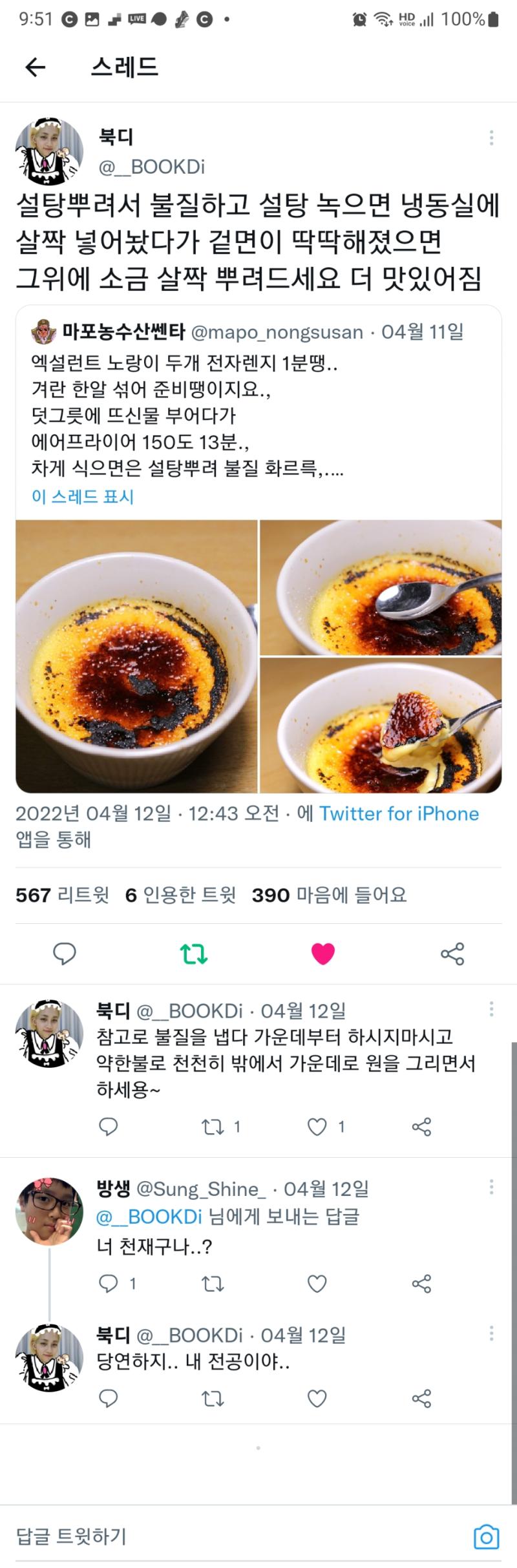 이것은 아이스크림 크림브륄레다