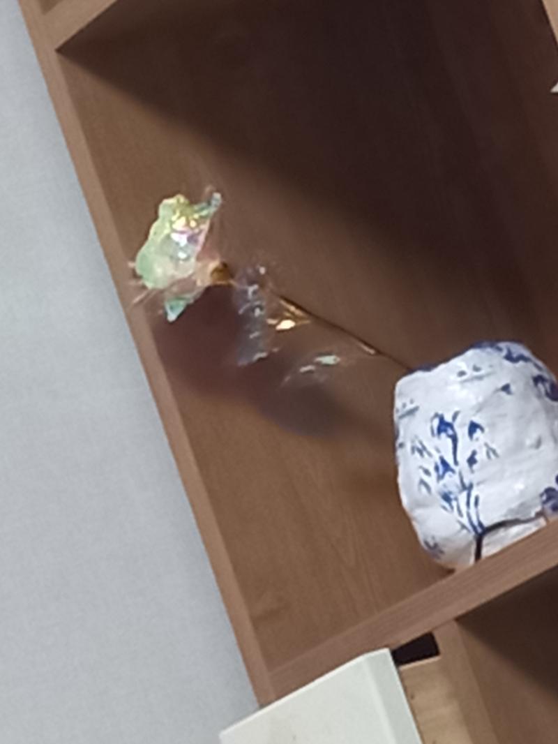 우리 집엔 이런 것도 있고 이런 것도 있고 이런 것도 있어!