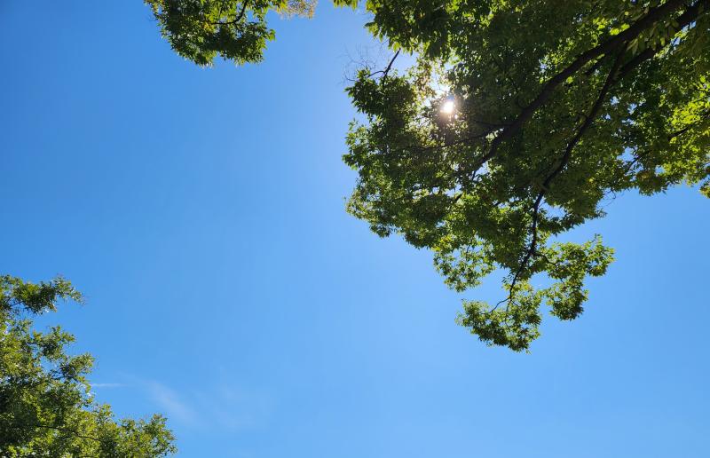 어제의 학교 가을이어서 그런 건지 미세먼지가 없어서 그런 건지 그것도 아니면 폰 카메라가 좋은 건지 해가 지고 노을과 밤이 뒤섞이는 시간대에 학