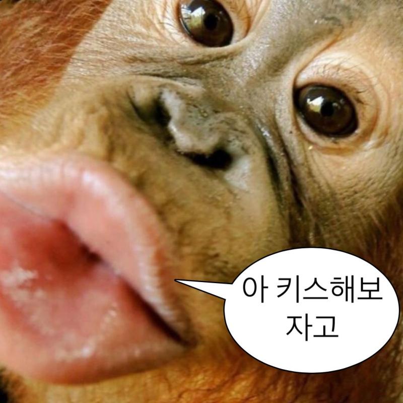 >>12 우!
