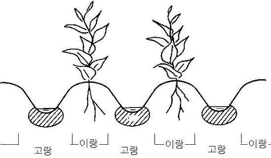 번외편: 3.1. 한컴타자연습: 요즘은 초등학교에서 타자연습 시키는지 모르겠네 그런데 이게 자리 순서대로 왼손 오른손 차례대로 익히는데 1단계 