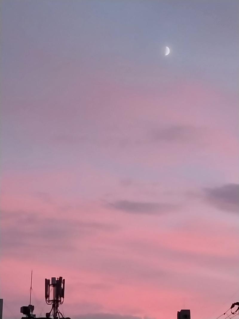난 이거... 와 난 진짜 내가 생각보다 사진 찍는 실력이 너무 이상하진 않구나 오늘 처음 느낌.. 너무 잘나오지 않음..? 감성사진 막 이런거