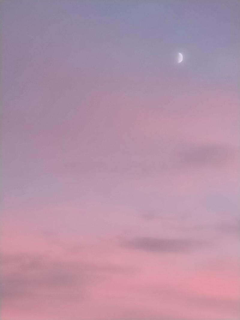 난 이거... 와 난 진짜 내가 생각보다 사진 찍는 실력이 너무 이상하진 않구나 오늘 처음 느낌.. 너무 잘나오지 않음..? 감성사진 막 이런거