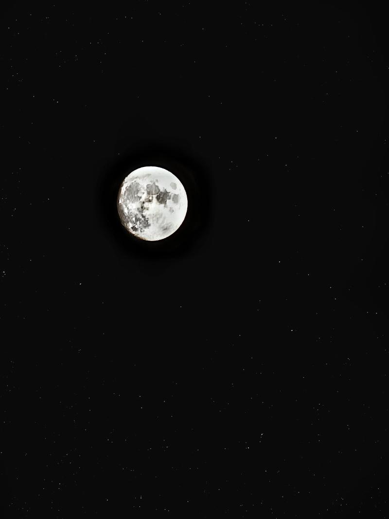 최근에 찍은 사진 중에서는 이게제일 마음에 든다! 사실 더있는데 레스테러가 될것 같아서 ㅋㅋㅋ