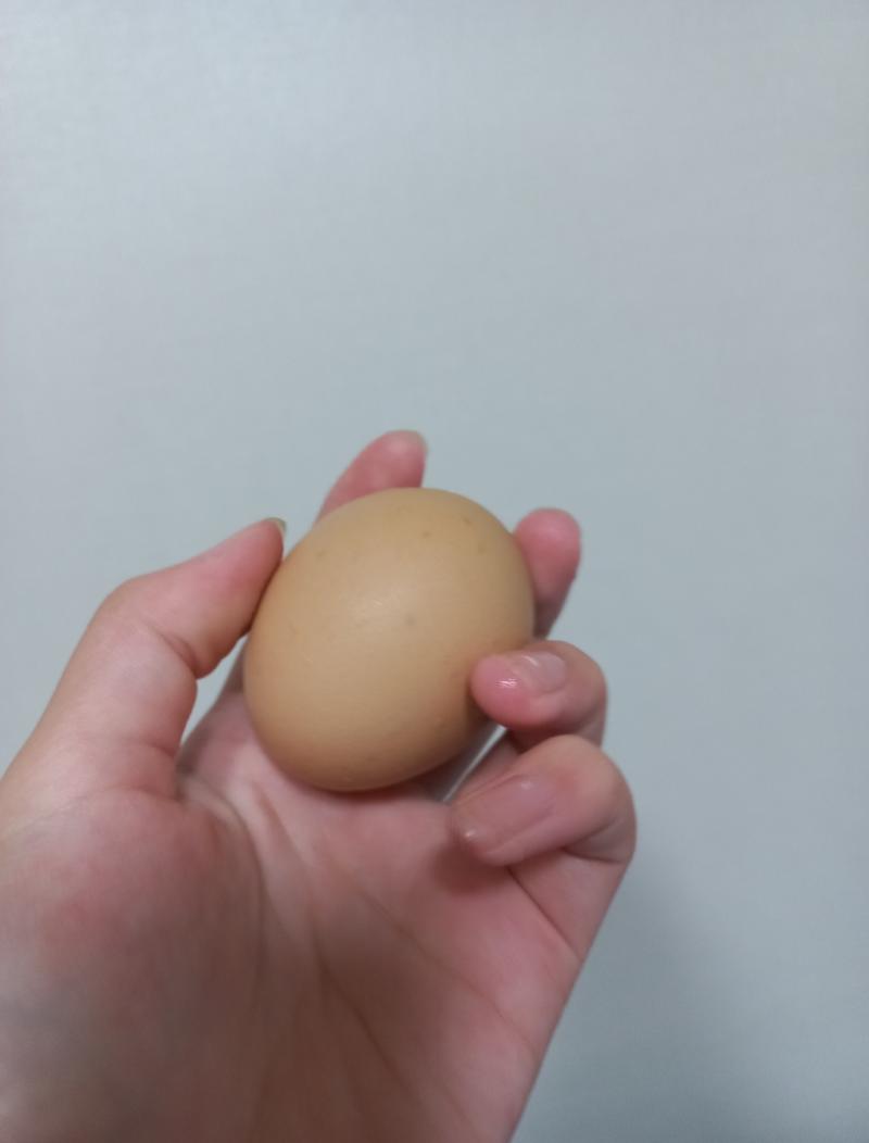 그리고 오늘 큰일이 두개 있었는데 하나는 진로 시간에 학교 옥상에서 계란 떨어트리는 거 함!! 나무젓가락이랑 고무줄, 수수깡 주고 계란 떨어트렸