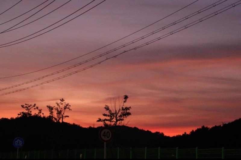 직접찍은것들중에 개인적으로 제일 마음에들게 나온것들! 생각해보니 요즘 사진 찍으러 나간지도 오래됐네