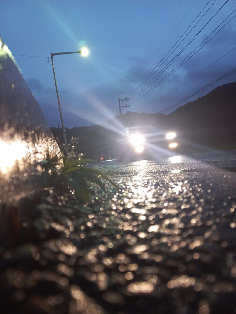 그리고 슬픔도 꽤나 중독적이라는 것을 깨달았다 슬픔이란 중독적인 감정이라 한번 풀리면 언제든지 더 풀고 싶어진다 이 공간.. 습도... 공기..