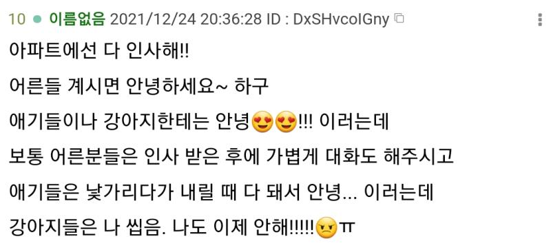 레더들 귀여워