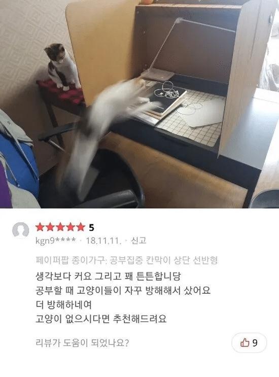 칸막이 구매 후기