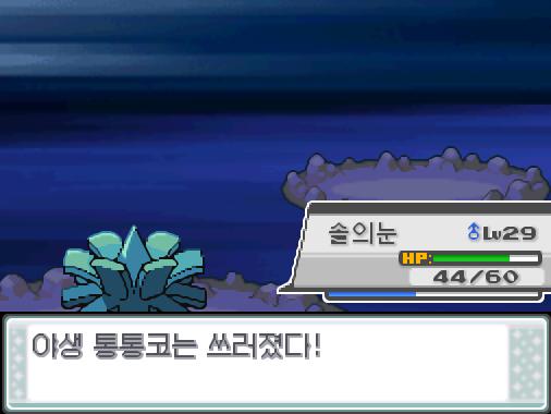 솔의눈의 드래곤크루! 야생통통코는 쓰러졌다! 솔의눈은 2016 경험치를 얻었다! 솔의눈은 레벨 30으로 올랐다!