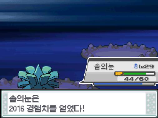 솔의눈의 드래곤크루! 야생통통코는 쓰러졌다! 솔의눈은 2016 경험치를 얻었다! 솔의눈은 레벨 30으로 올랐다!