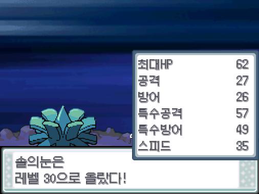 솔의눈의 드래곤크루! 야생통통코는 쓰러졌다! 솔의눈은 2016 경험치를 얻었다! 솔의눈은 레벨 30으로 올랐다!