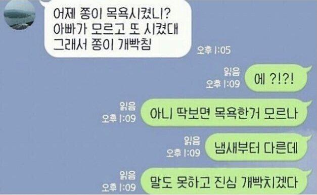 나 요즘 쌤 쫑이라구 불러 가끔 쌤도 본인을 쫑이라고 칭하는데 너무 귀여워ㅋㅋ 얘기하다가 “쫑이는 간다~” 하기도 하고 오늘 자기 개빡쳤다고 완