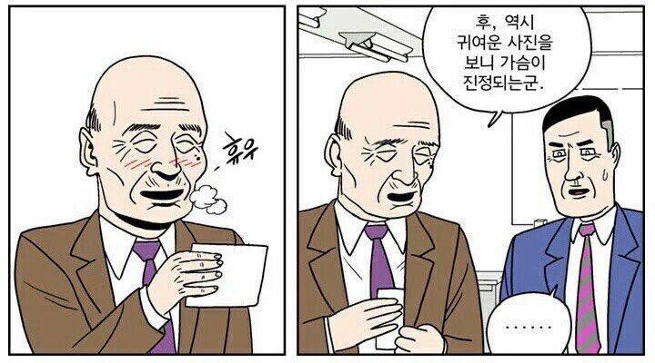 귀여운게 짱이다