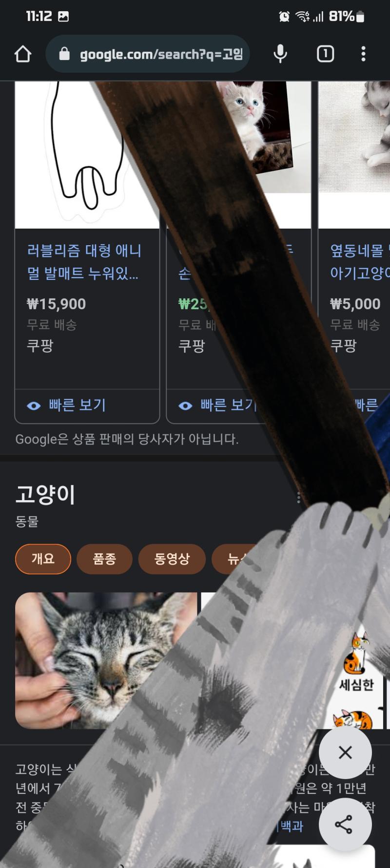 냥파이브