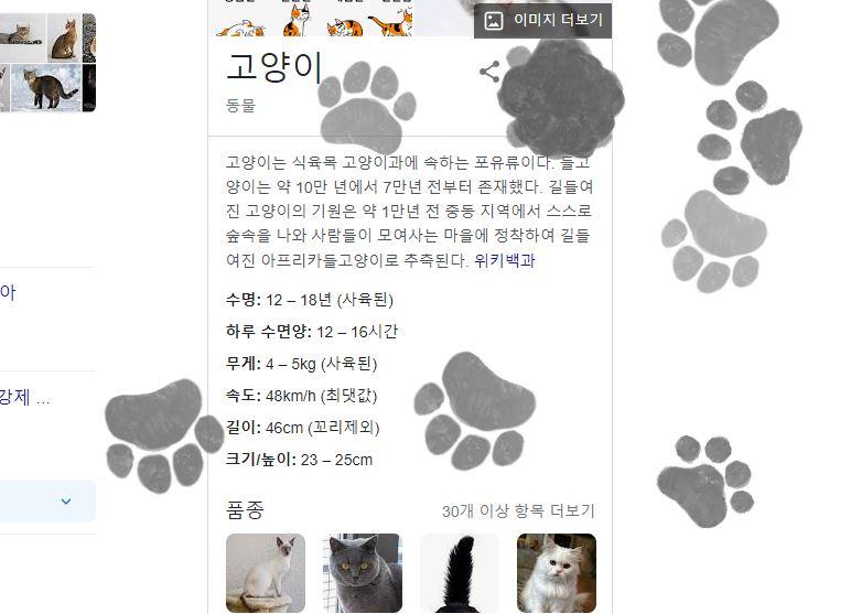 봐바 짱이지