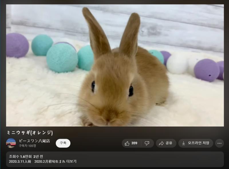 화면 테두리에 화아아앗~! 같은 효과가 너무 거슬려 이거 못 꺼?(토끼 있음)