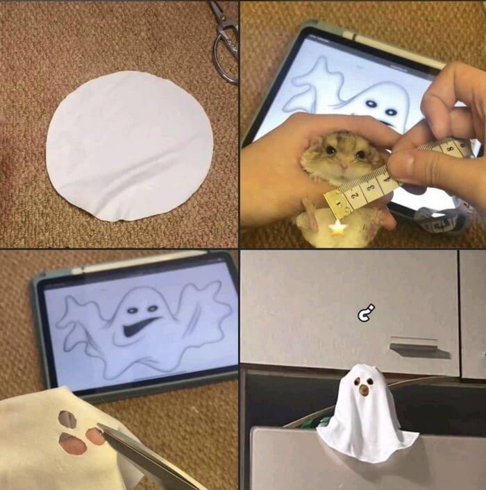 햄스터의 할로윈 분장 👻