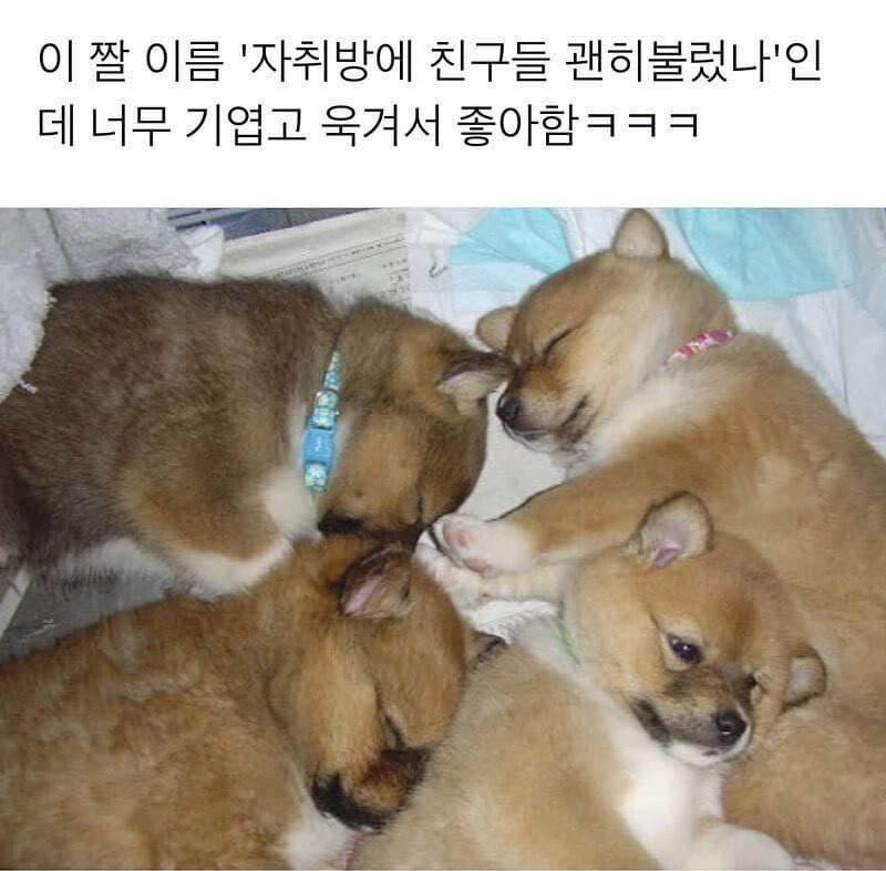 기여워