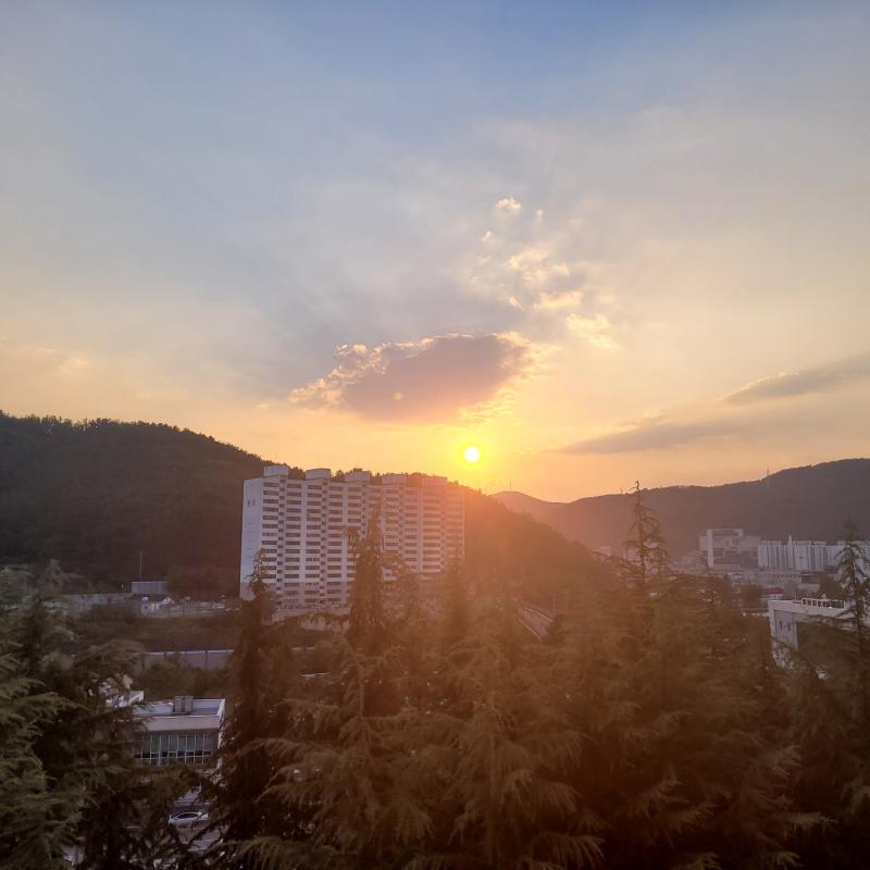 오랜만에 왔다 찍은 건 많은데 사진 용량 줄이는 게 귀찮아서 안 왔다..