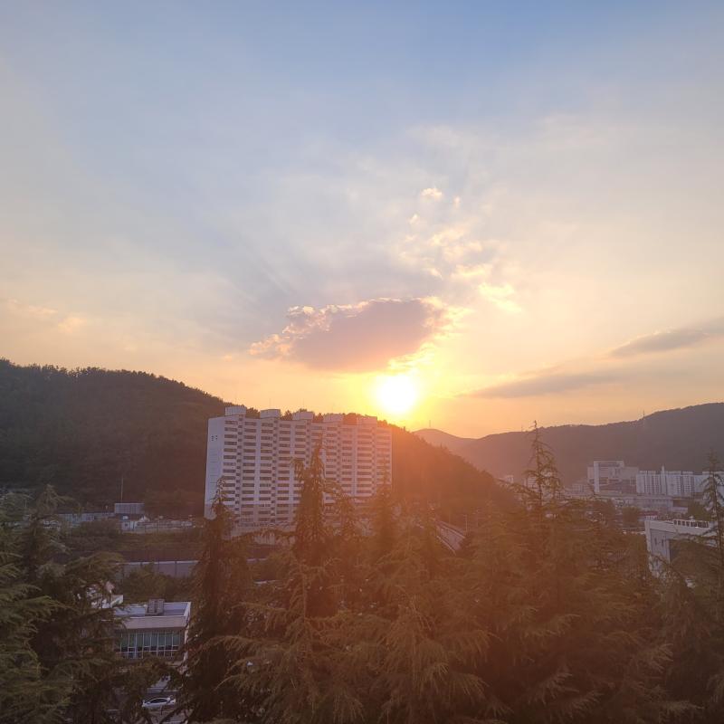 오랜만에 왔다 찍은 건 많은데 사진 용량 줄이는 게 귀찮아서 안 왔다..