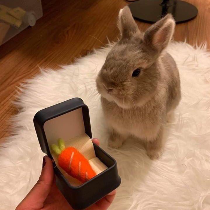 내 맘을 받아져🥺