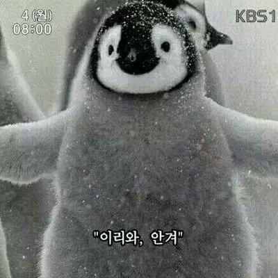 >>110 내일은 꼭 좋은 하루가 될거야!