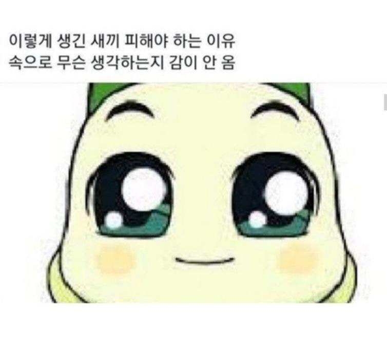 주인공 건드리면 ㅈ되는 이유