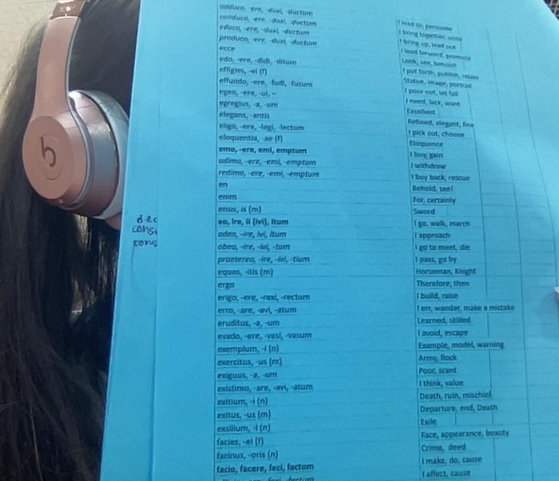 사실 라틴숙제 하기 싫어서 만들었는데....