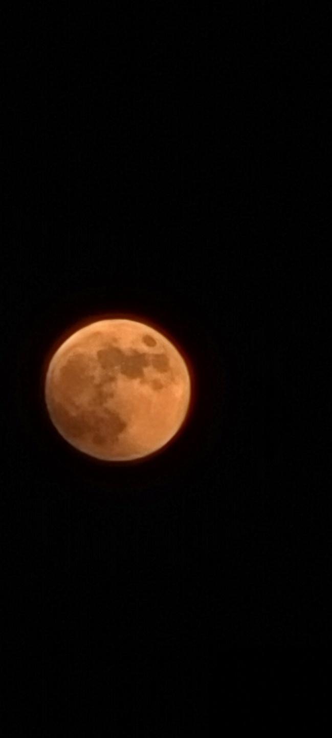 이제야 올리는… 잘찍힌건 친구가 찍어서 보내준건데 내가 찍은건.. 또륵 아이폰은 5배밖에 안된다구요…