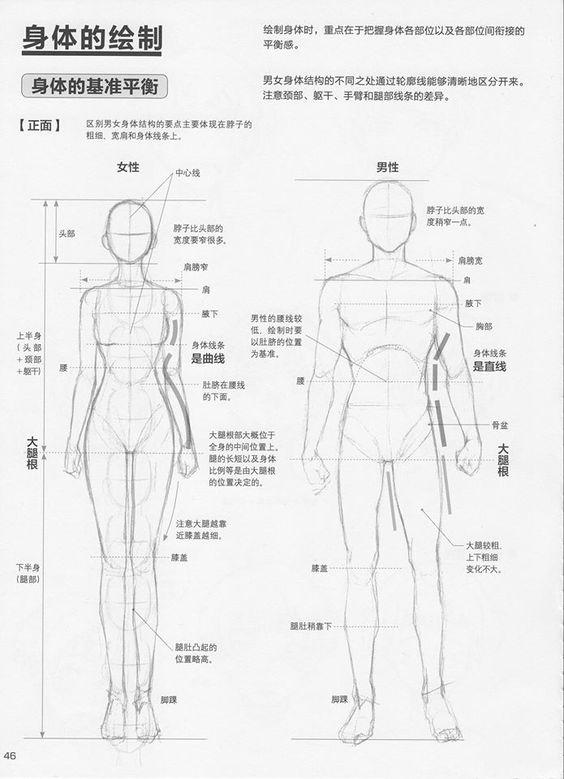 첫번째는 실사 비율 거의 정석임 디테일이 아쉽지만 비율 공부하려면 저거 봐도 ㄱㅊ음