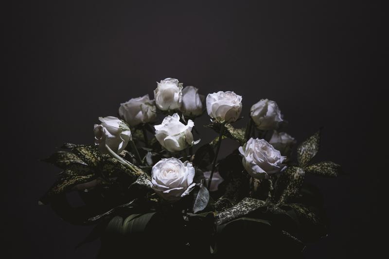 [병든 나비에게 꽃다발을 안겨주시겠습니까?] • 예 • 아니오 >>3
