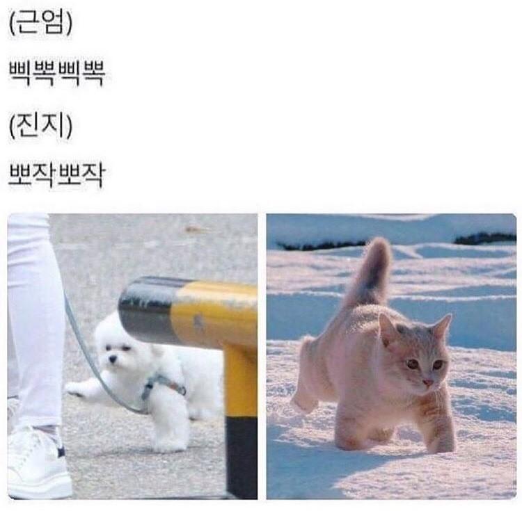 뻘하게 귀여워서 올려바