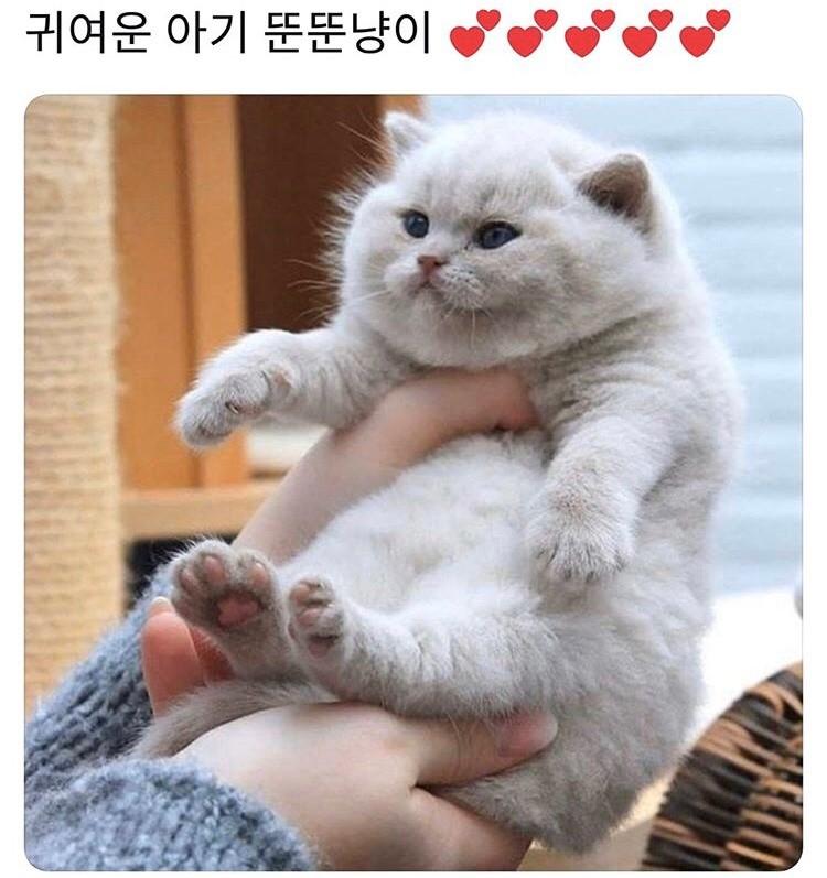 뻘하게 귀여워서 올려바