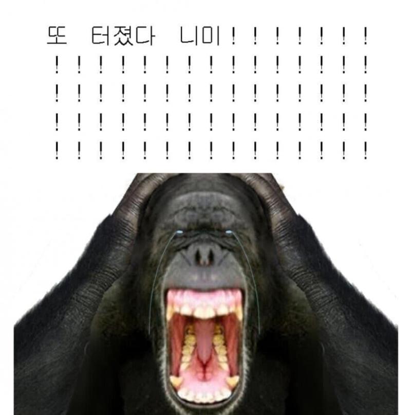 게관위 또 터짐? ㅋㅋㅋㅋㅋㅋㅋㅋㅋㅋ저딴게 공공기관ㅋㅋㅋㅋㅋ