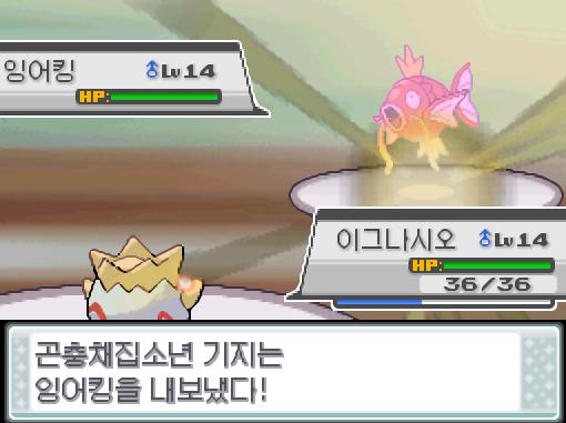 가랏! 이그나시오! 곤충채집소년 기지는 잉어킹을 내보냈다! 이그나시오는 무엇을 할까? >>862 싸운다: 더블니들20/거품광선20/신통력30/베